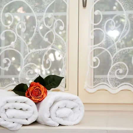 Dream * 스플리트